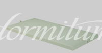 Schramm Untermatratze gepolstert UM-0-SCA